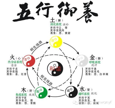 五行缺水 戴什麼|男人五行缺水戴什么